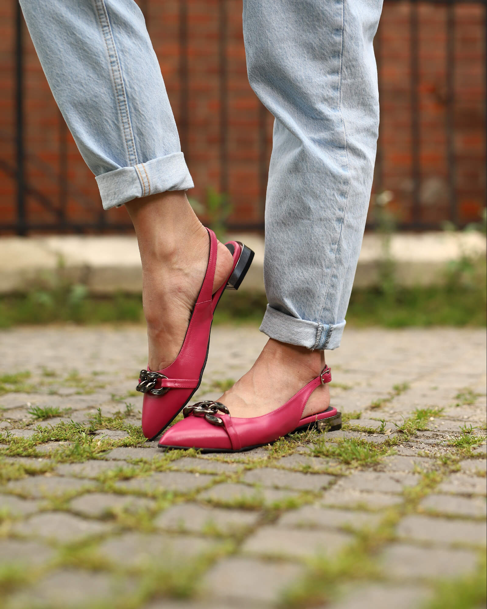 Balerini decupati la spate Anin Fuchsia